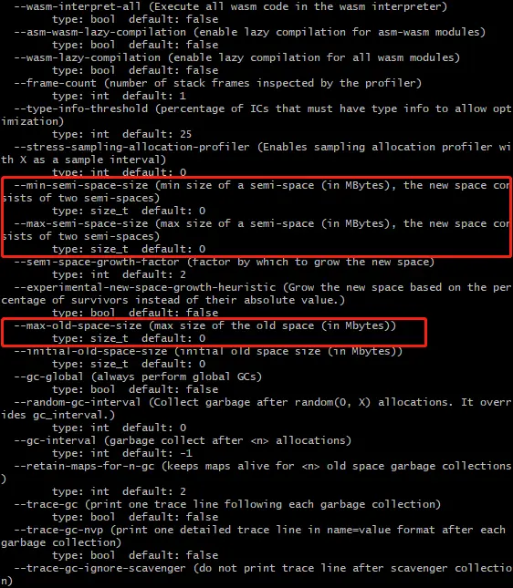 Node.js 可用 V8 选项示意