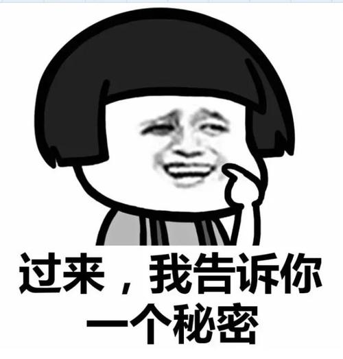 Pragma 历史兼容字段示意