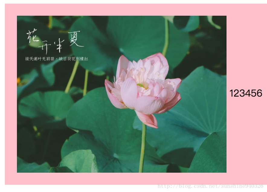 图片和文字垂直对齐