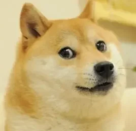 doge(原文插图)