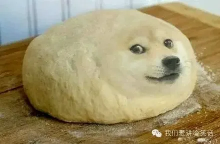 doge(原文插图)