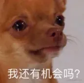 原文配图 135-01