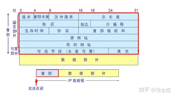 IP 数据包格式