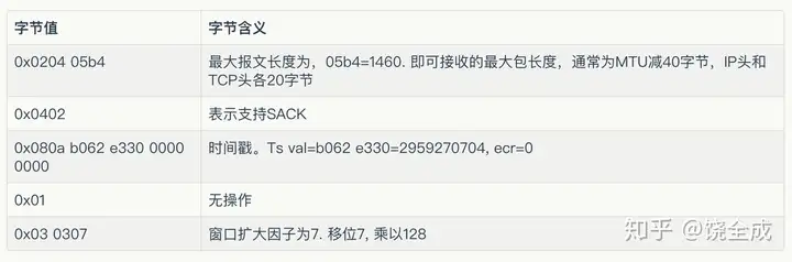 TCP 选项格式