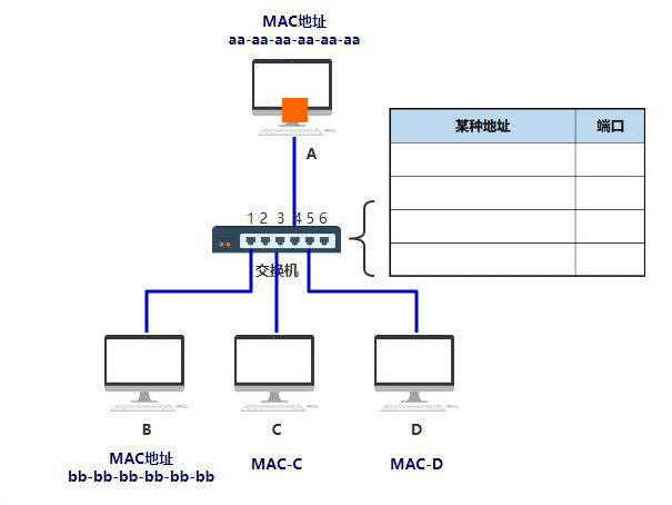 MAC 地址学习过程