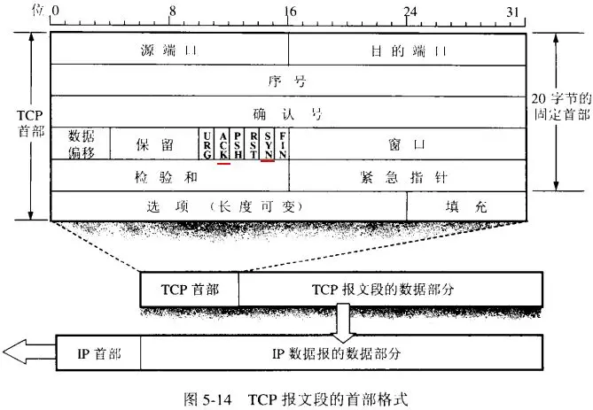 TCP 首部结构