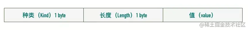 TCP 选项格式