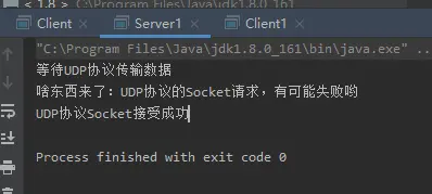 UDP Socket 示例运行结果