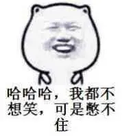 原作者在进程守护说明后的过渡表情图（04-04）